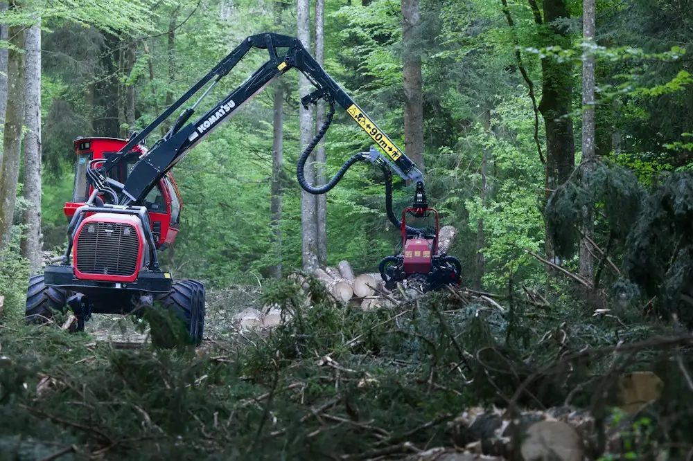 Harvestor zpracovává pokácený kmen v jehličnatém lese